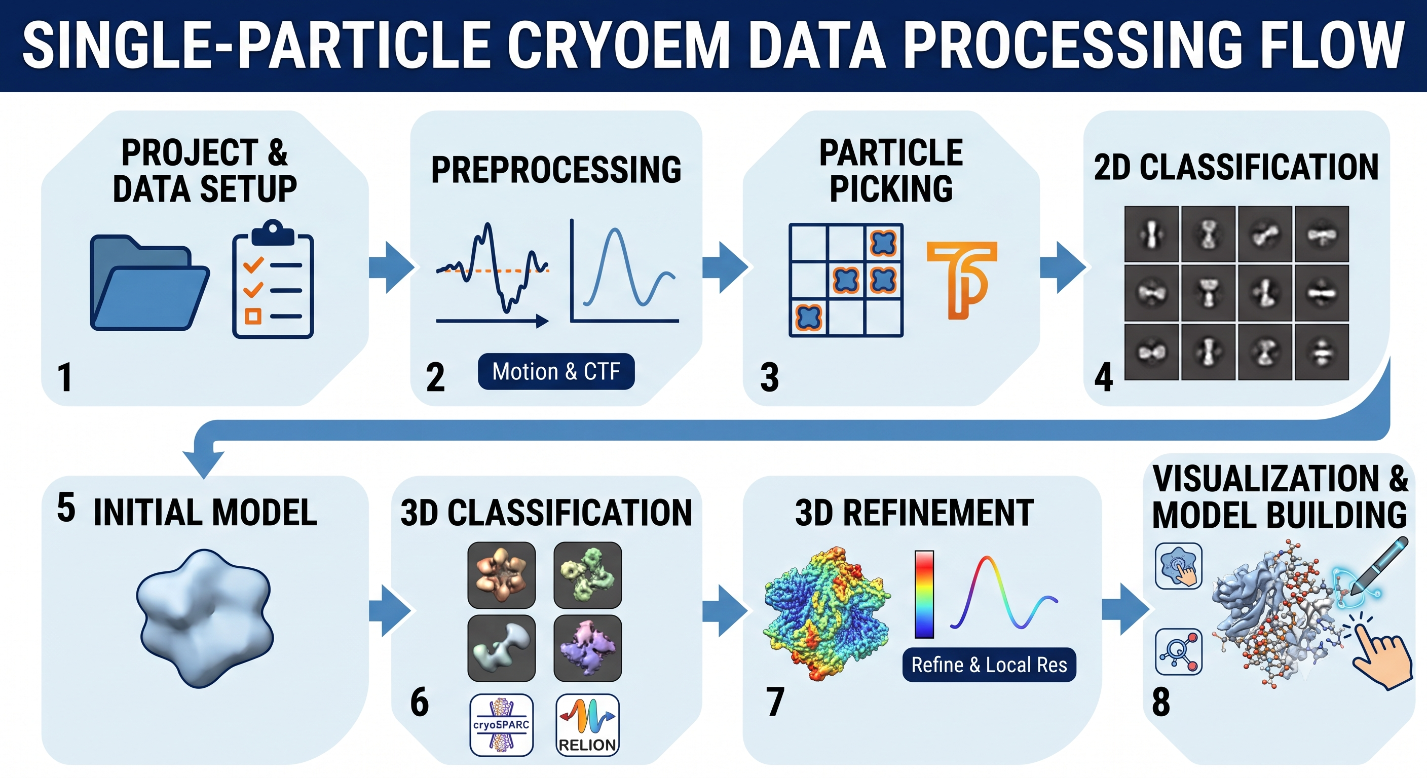 Single-particle cryo-EM data processing flow: project and data setup, preprocessing, particle picking, 2D classification, initial model, 3D classification, 3D refinement, visualization and model building