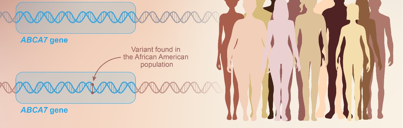 ABCA7 gene diagram highlighting a variant found in the African American population, alongside a diverse population illustration